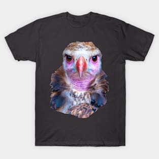 Cinereous Vulture face T-Shirt